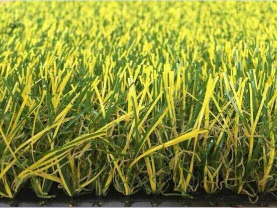 人工草